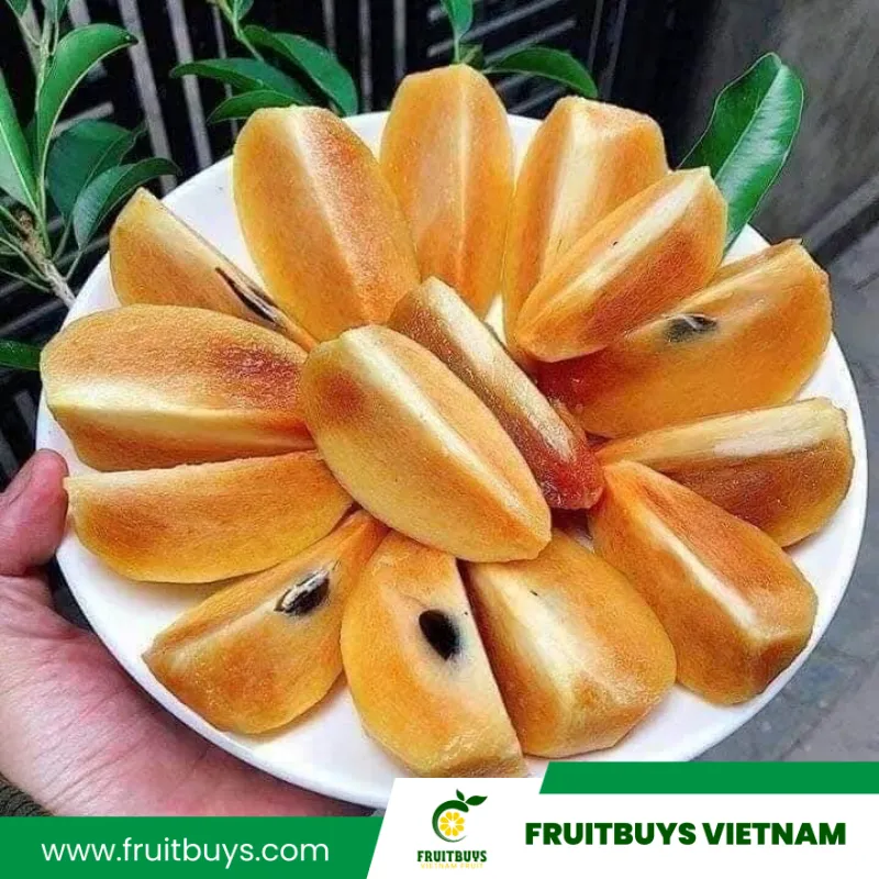 FruitBuys Vietnam 230517 Sapodilla Farm (7)