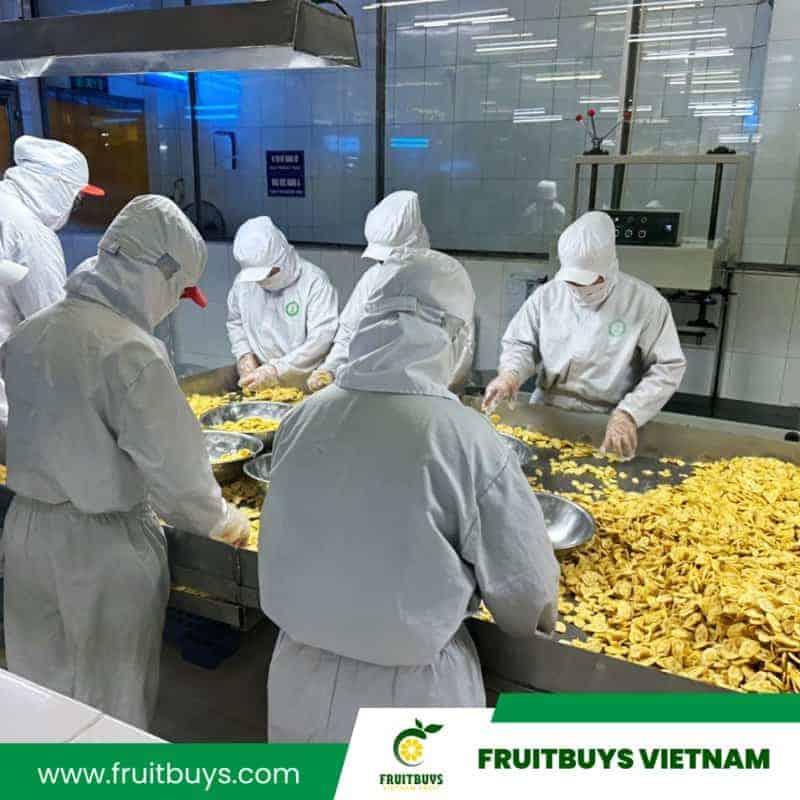 Fruitbuys Vietnam Banana Chips 11