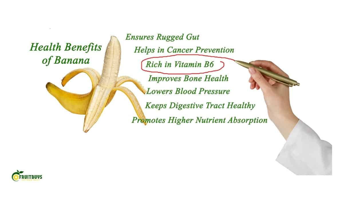 FruitBuys Vietnam Benefits Of Freeze Dried Bananas For Health