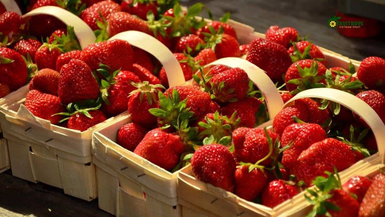 Fruitbuys Vietnam Comparison Of Strawberries To Other Fruits For Health Benefits 1