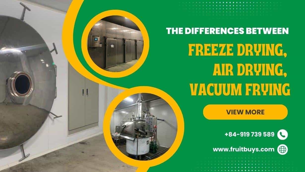 Fruitbuys Vietnam The Differences Between Freeze Drying Air Drying And Vacuum Frying