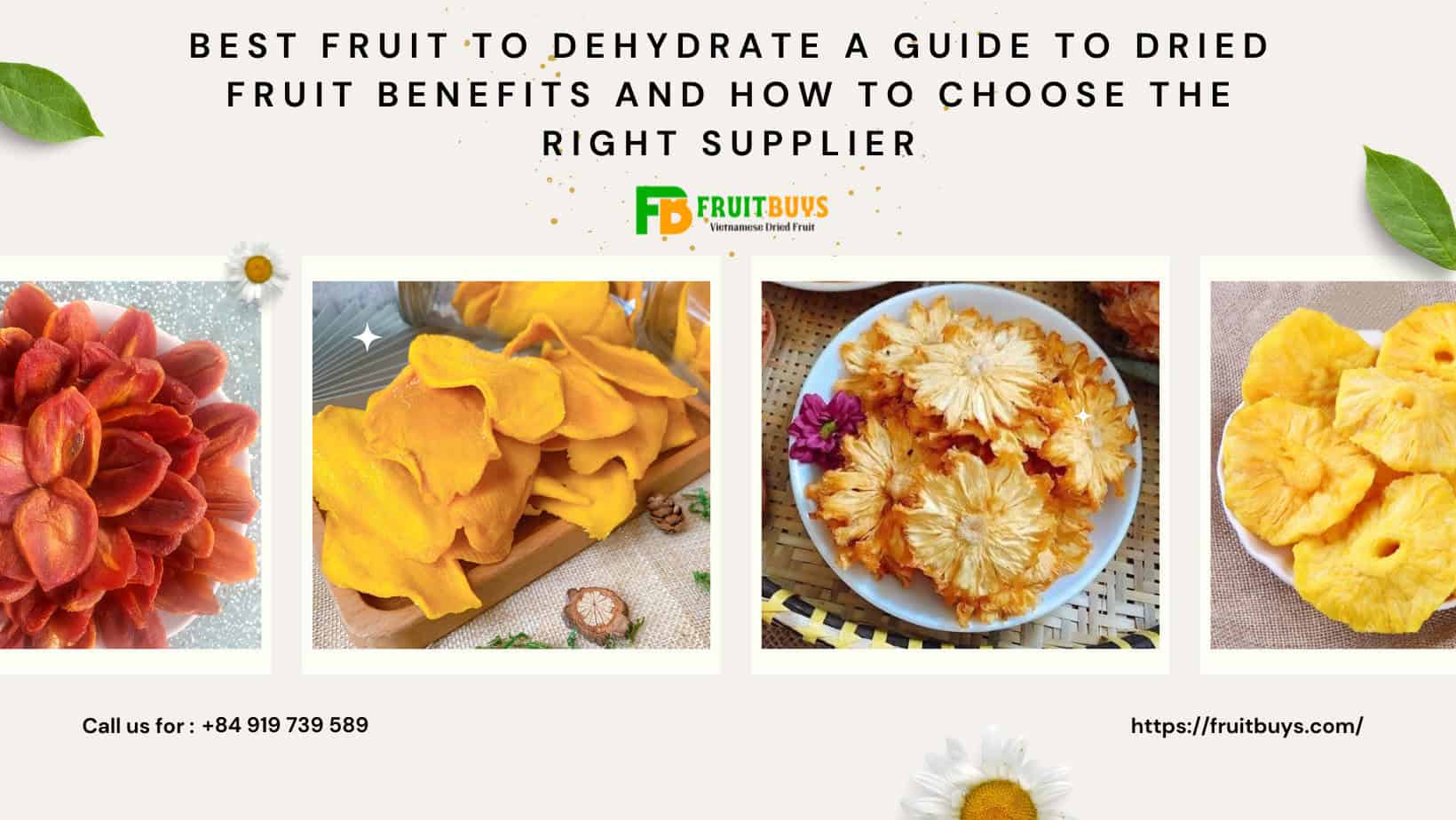 FruitBuys Vietnam  Best Fruit To Dehydrate A Guide To Dried Fruit Benefits And How To Choose The Right Supplier