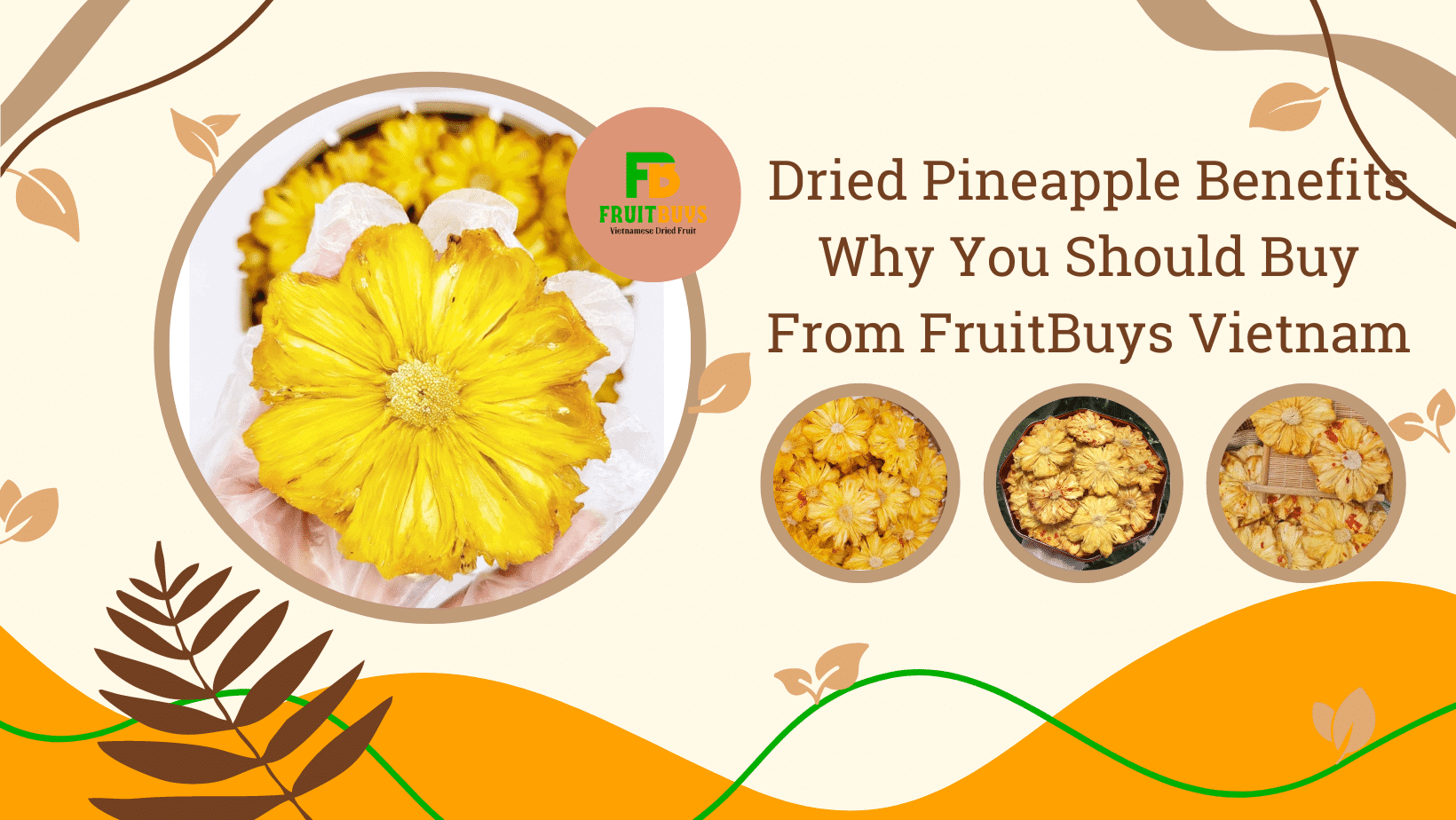 FruitBuys Vietnam Dried Pineapple Benefits Why You Should Buy From FruitBuys Vietnam