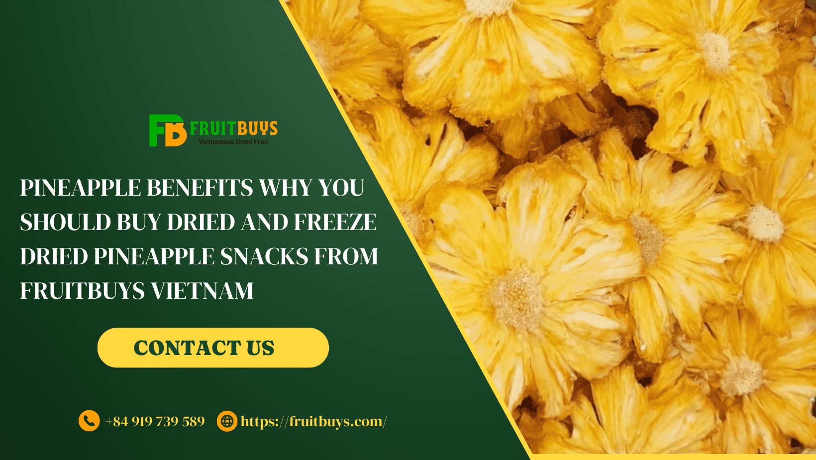 FruitBuys Vietnam Pineapple Benefits Why You Should Buy Dried And Freeze Dried Pineapple Snacks From FruitBuys Vietnam