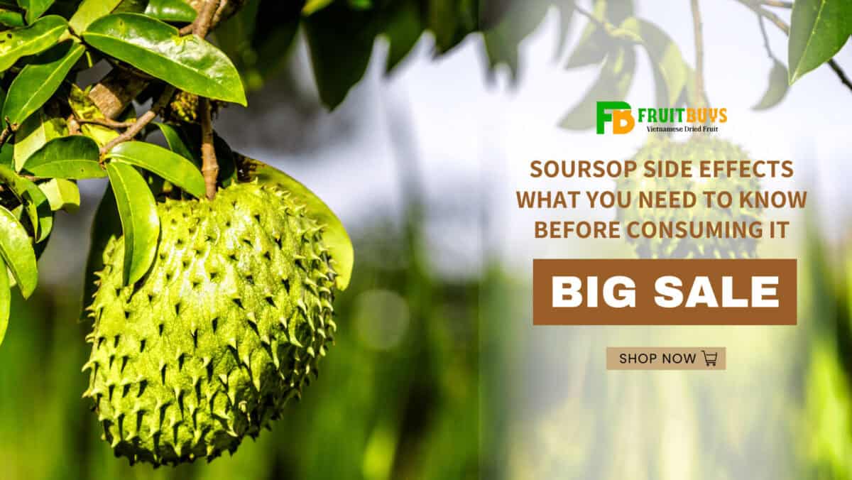 Soursop Side Effects What You Need To Know Before Consuming It
