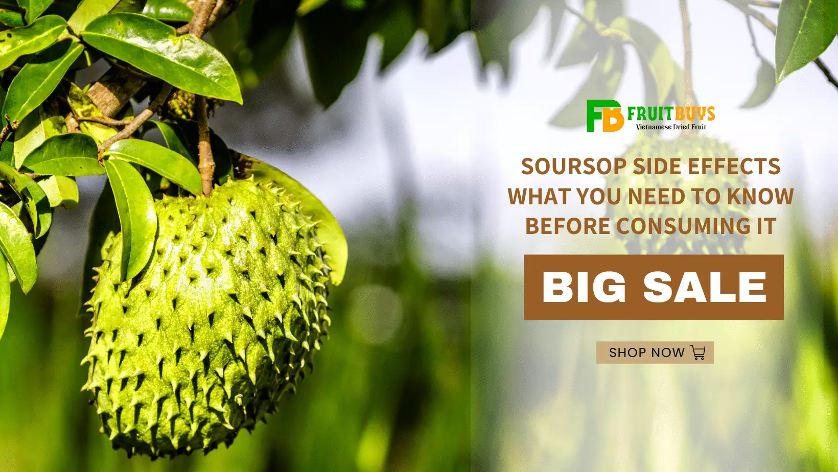 FruitBuys Vietnam  Soursop Side Effects What You Need To Know Before Consuming It