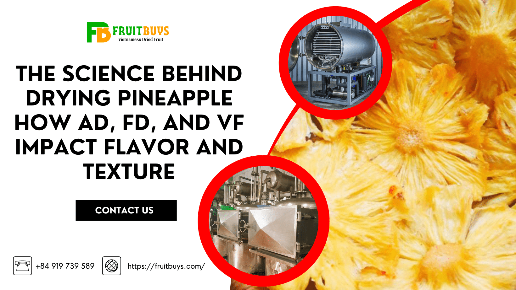 Drying Pineapple 3 Creative Methods Explained Scientifically