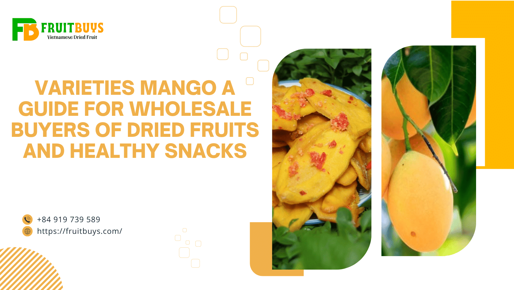 FruitBuys Vietnam  Varieties Mango A Guide For Wholesale Buyers Of Dried Fruits And Healthy Snacks