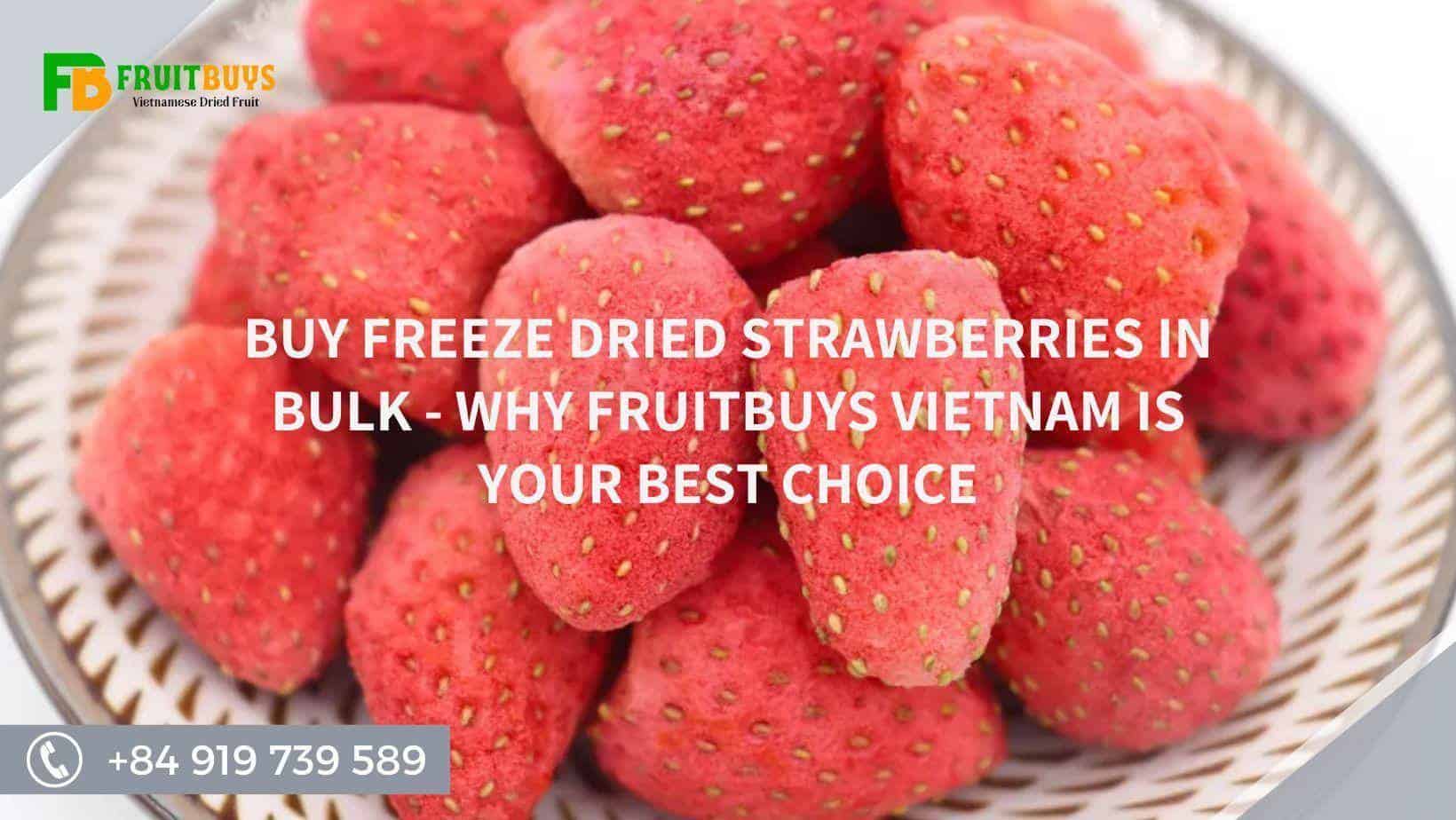 FruitBuys Vietnam  Buy Freeze Dried Strawberries In Bulk   Why FruitBuys Vietnam Is Your Best Choice
