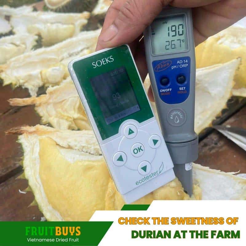 FruitBuys Vietnam Check The Sweetness Of Durian At The Farm 23930