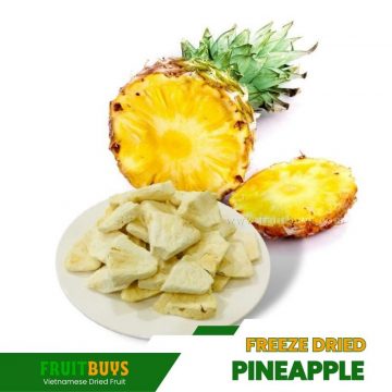 FruitBuys Vietnam  Freeze Dried Pineapple 1 23919