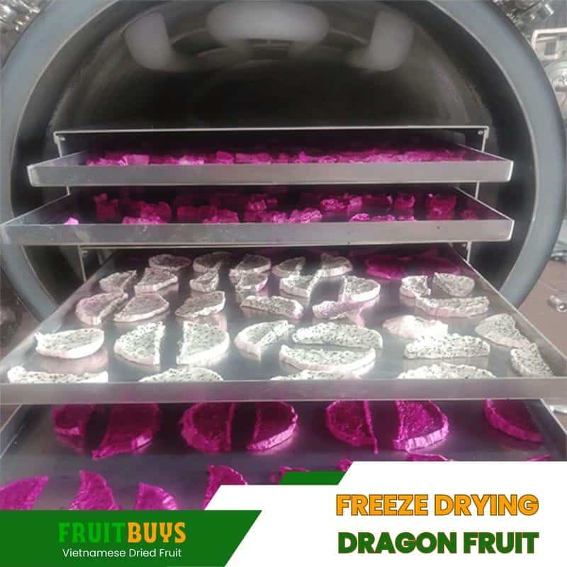 FruitBuys Vietnam Freeze Drying Dragon Fruit 23924
