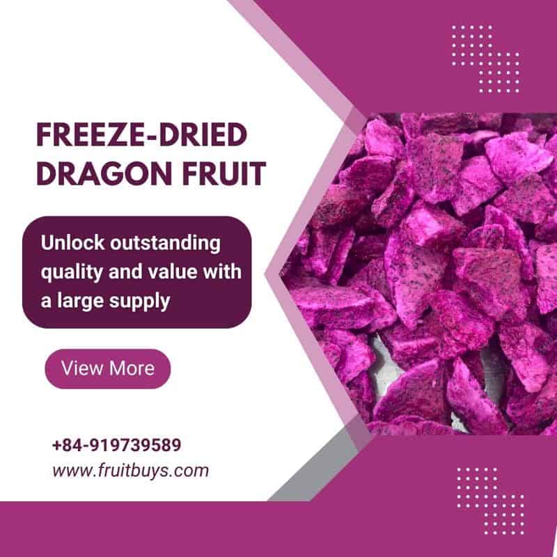 FruitBuys Vietnam Freeze Dried Dragon Fruit Bulk 23922