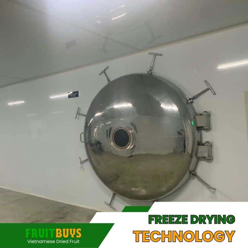 FruitBuys Vietnam Freeze Drying Technology 23919
