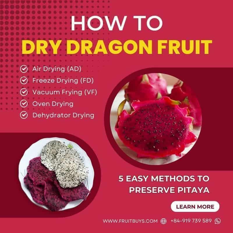FruitBuys Vietnam How To Dry Dragon Fruit 23924