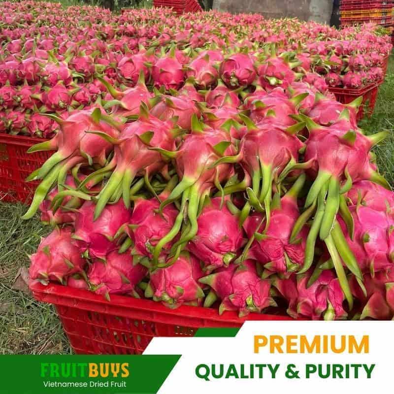 FruitBuys Vietnam Premium Quality & Purity 23922
