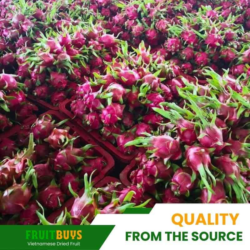 FruitBuys Vietnam Quality From The Source 23922