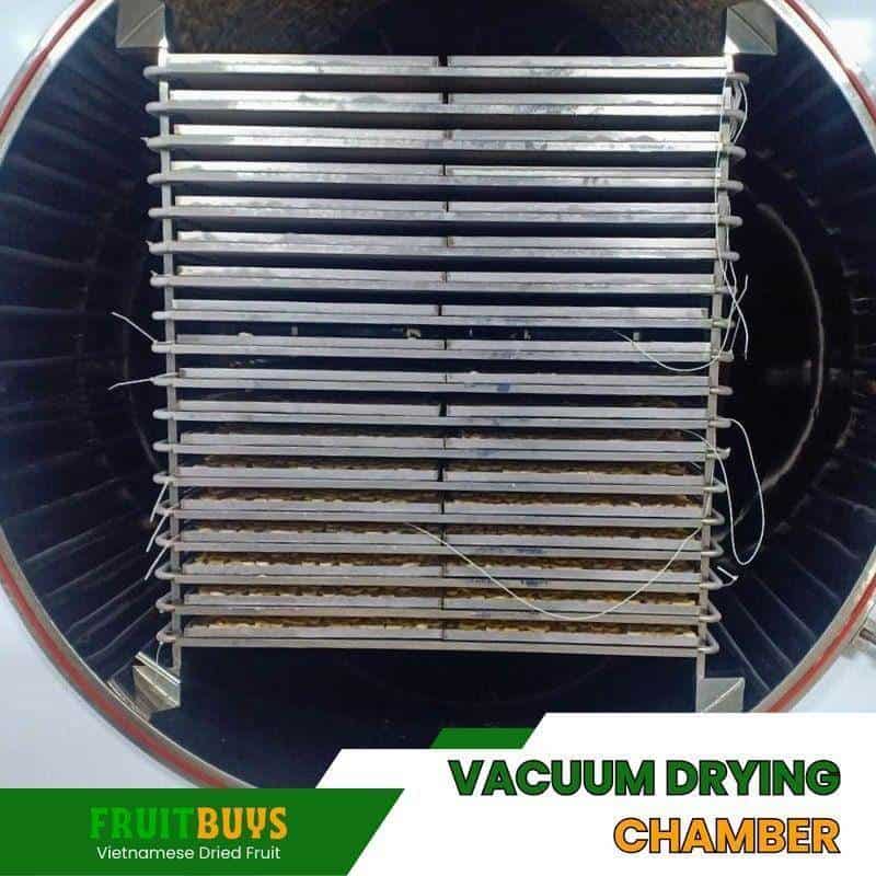 FruitBuys Vietnam Vacuum Drying Chamber 23919
