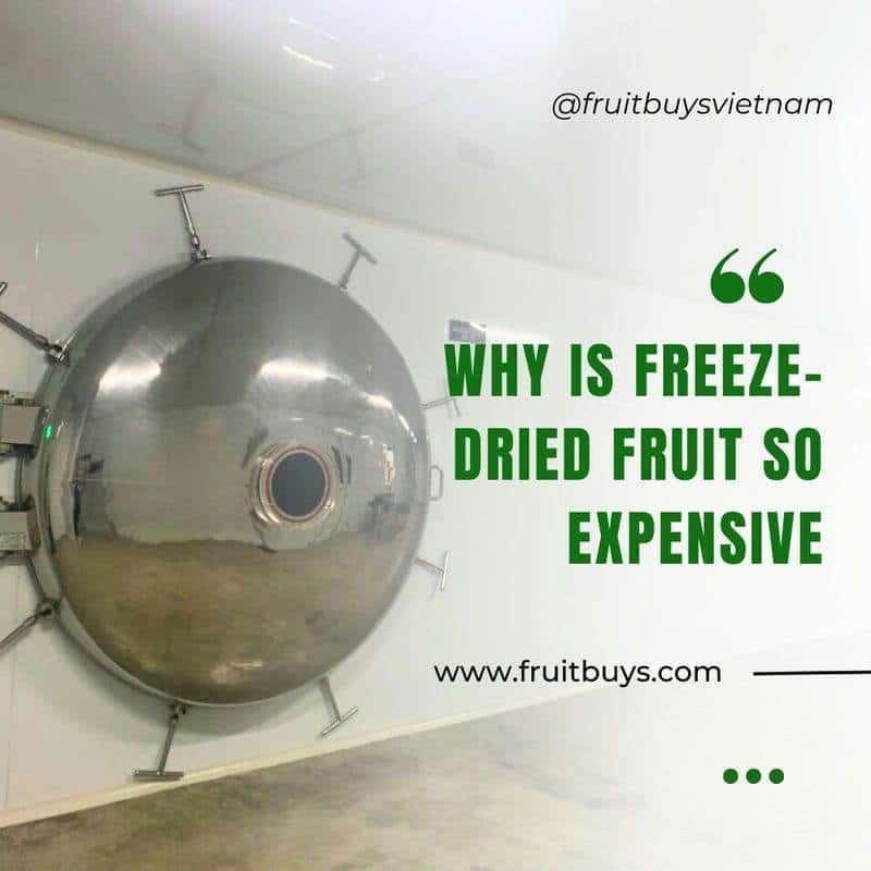 FruitBuys Vietnam  Why Is Freeze Dried Fruit So Expensive 231010
