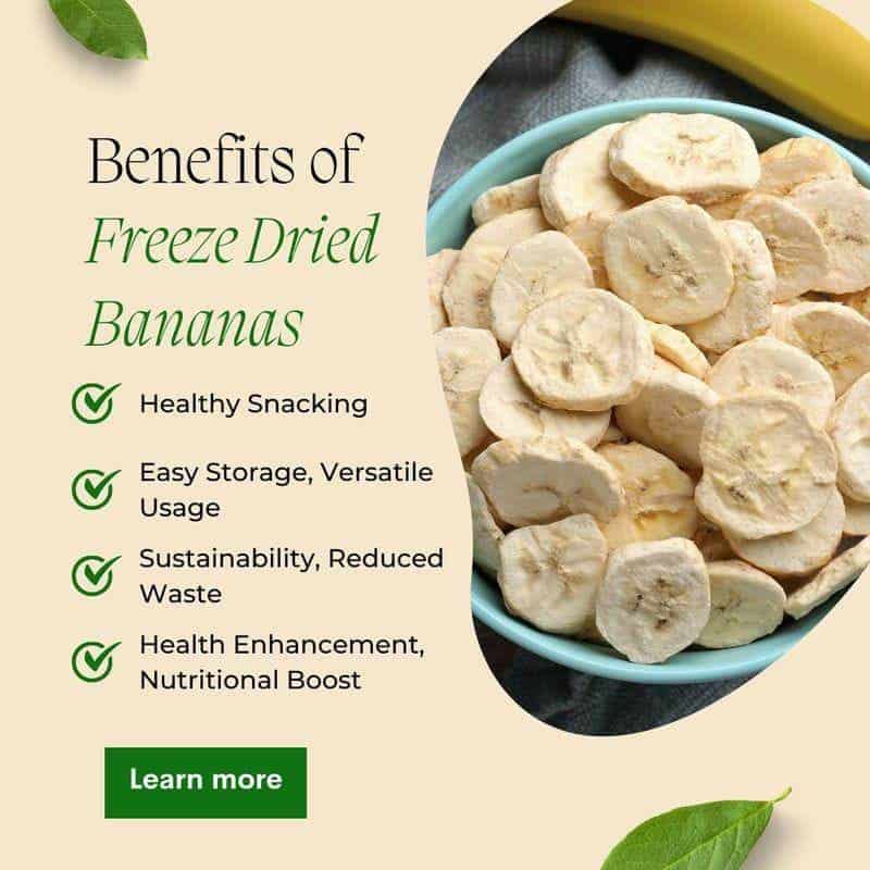 FruitBuys Vietnam Benefits of Freeze Dried Banana 231013