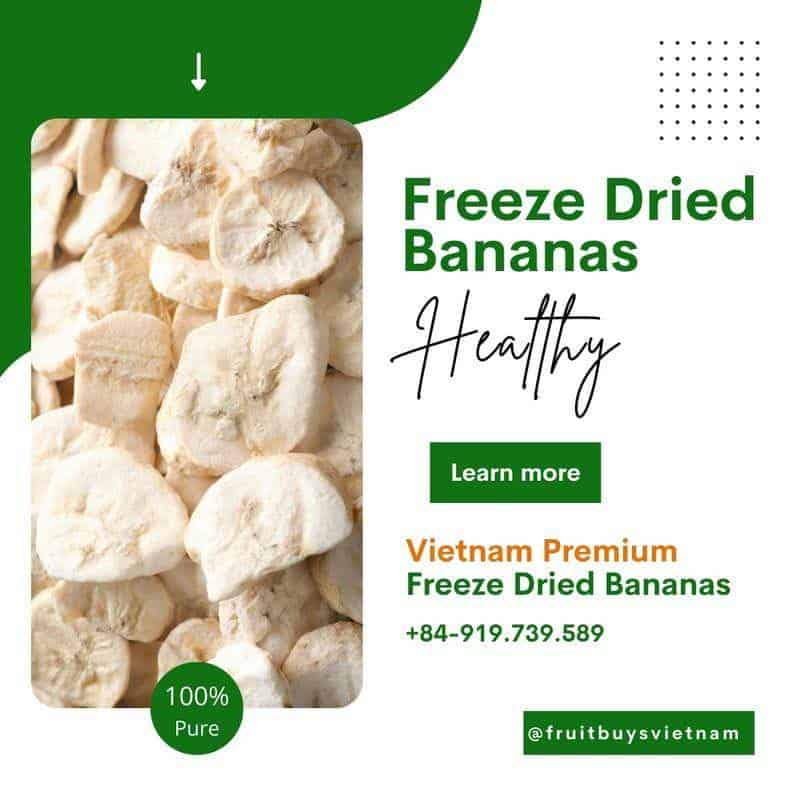 FruitBuys Vietnam Are Freeze Dried Bananas Healthy 231013