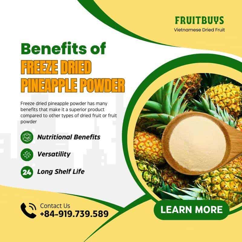 FruitBuys Vietnam Benefits Of Freeze Dried Pineapple Powder 231024