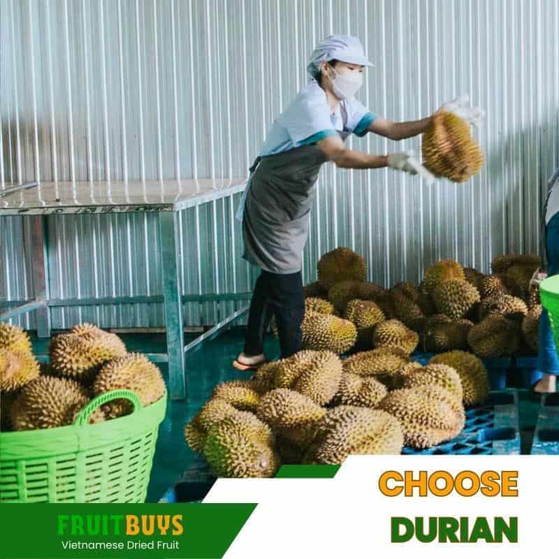 FruitBuys Vietnam Choose Durian 23102
