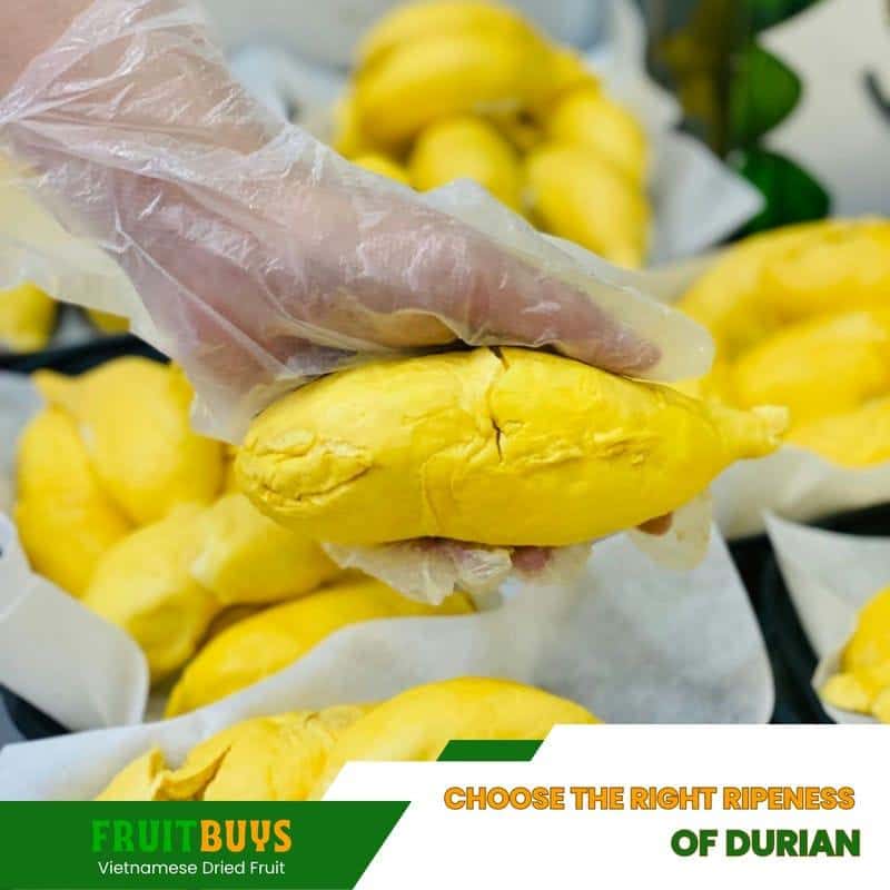 FruitBuys Vietnam Choose The Right Ripeness Of Durian 23102