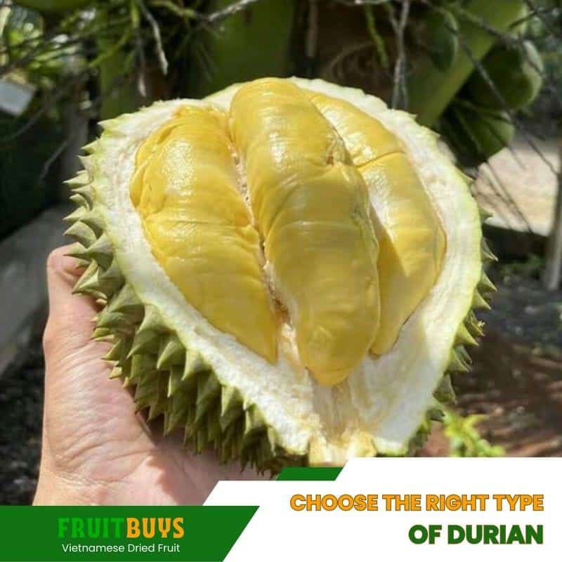 FruitBuys Vietnam Choose The Right Type Of Durian 23102