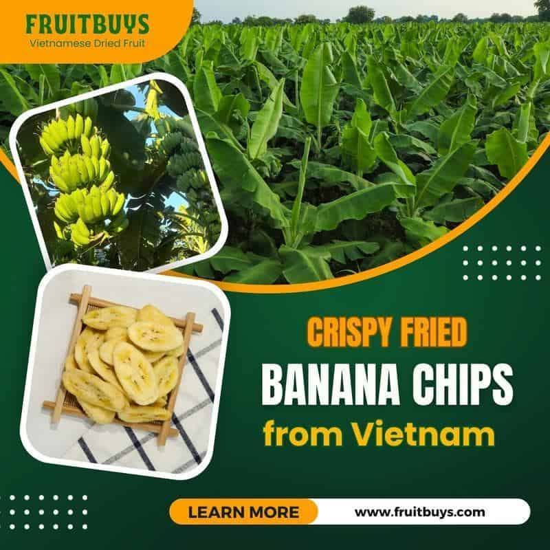 FruitBuys Vietnam Crispy Fried Banana Chips In Vietnam 231021