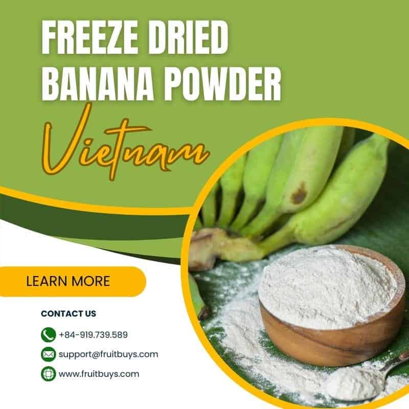 FruitBuys Vietnam Freeze Dried Banana Powder In Vietnam 231021
