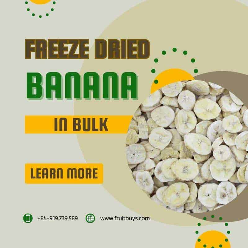 FruitBuys Vietnam  Freeze Dried Banana In Bulk 231013