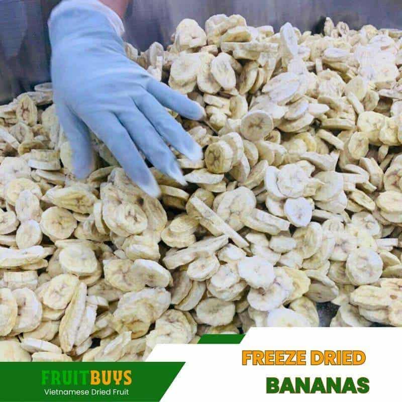 FruitBuys Vietnam Freeze Dried Bananas (2) 231013