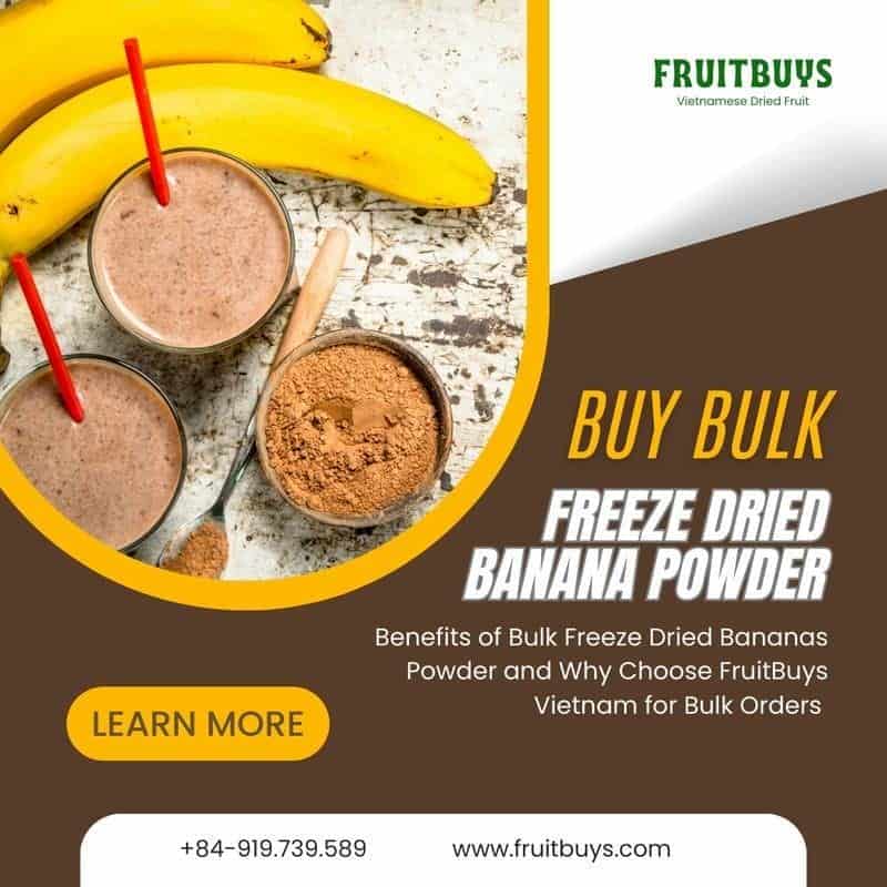 FruitBuys Vietnam Freeze Dried Bananas Powder In Bulk 231021