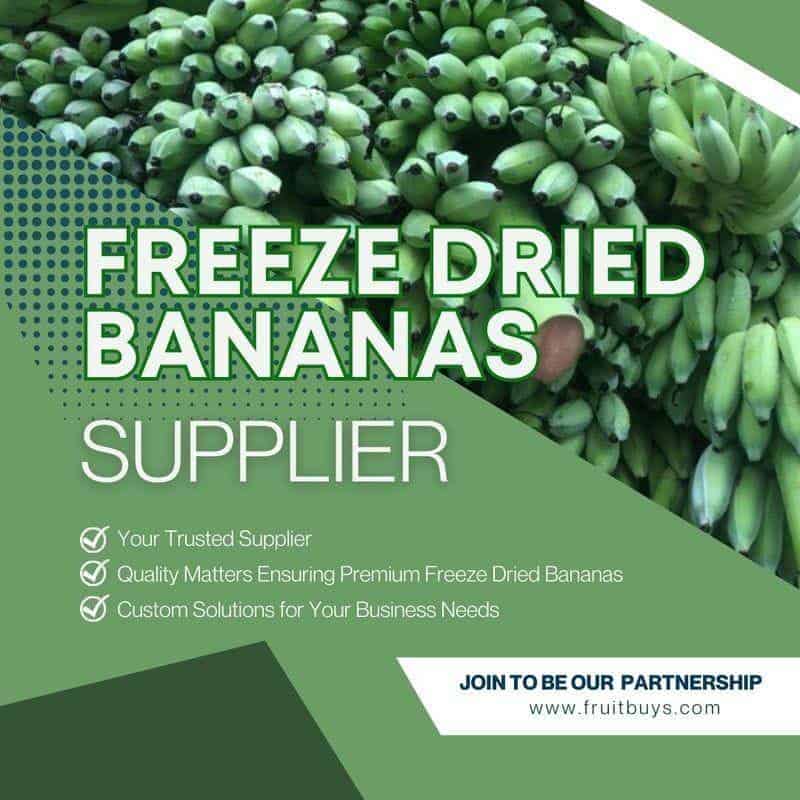 FruitBuys Vietnam  Freeze Dried Bananas Supplier 231013
