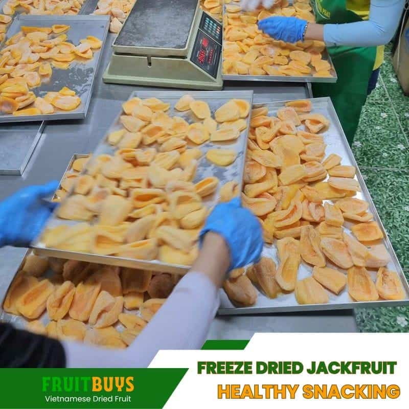 FruitBuys Vietnam Freeze Dried Jackfruit Healthy Snacking 23107454