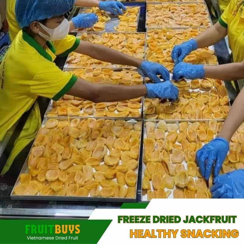 FruitBuys Vietnam Freeze Dried Jackfruit Healthy Snacking 555 23107454