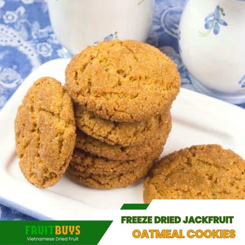 FruitBuys Vietnam Freeze Dried Jackfruit Oatmeal Cookies 23107