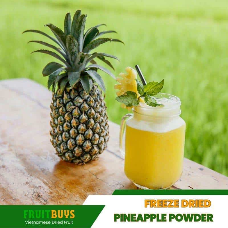 FruitBuys Vietnam Freeze Dried Pineapple Powder (4) 231024