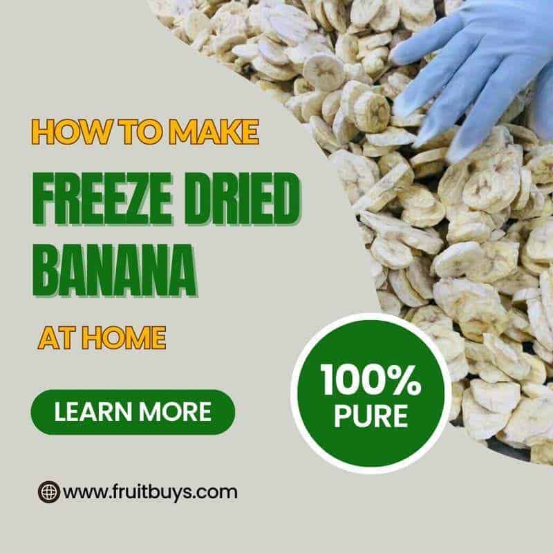 FruitBuys Vietnam  How To Make Freeze Dried Banana At Home 231013