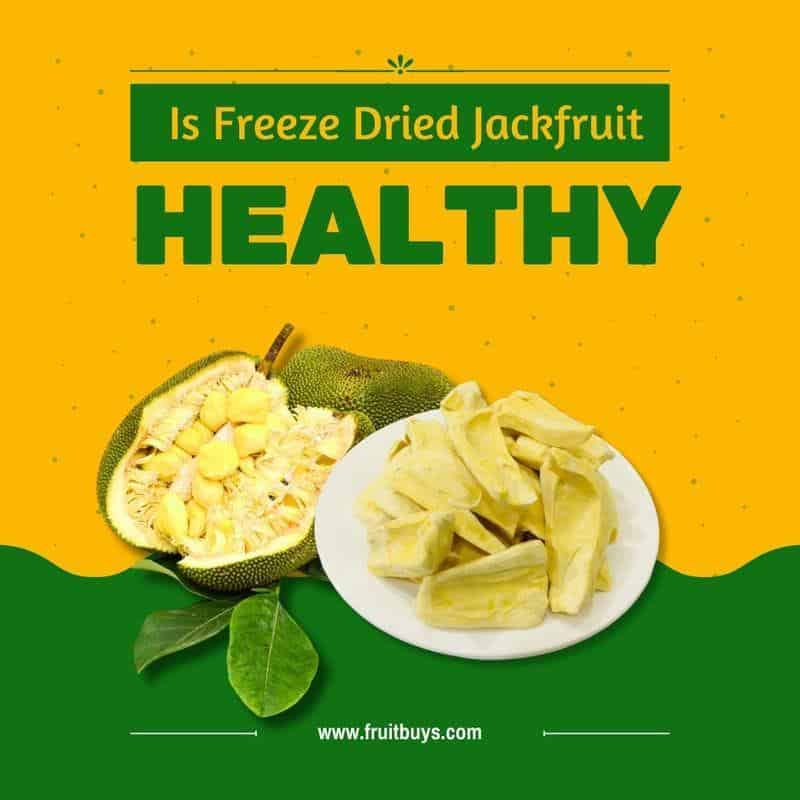 FruitBuys Vietnam Is Freeze Dried Jackfruit Healthy 23108