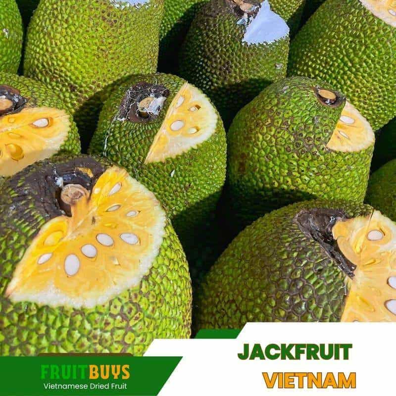 FruitBuys Vietnam Jackfruit Chips Recipes(1) 231011