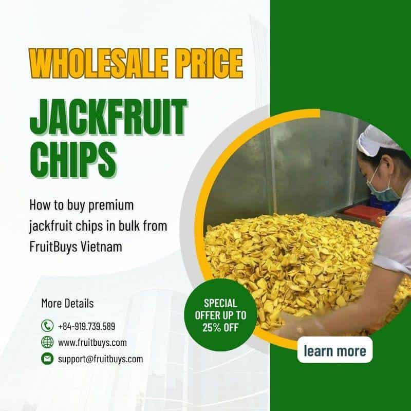FruitBuys Vietnam Jackfruit Chips Wholesale Price 231011