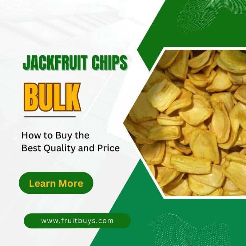 FruitBuys Vietnam Jackfruit Chips In Bulk 231011