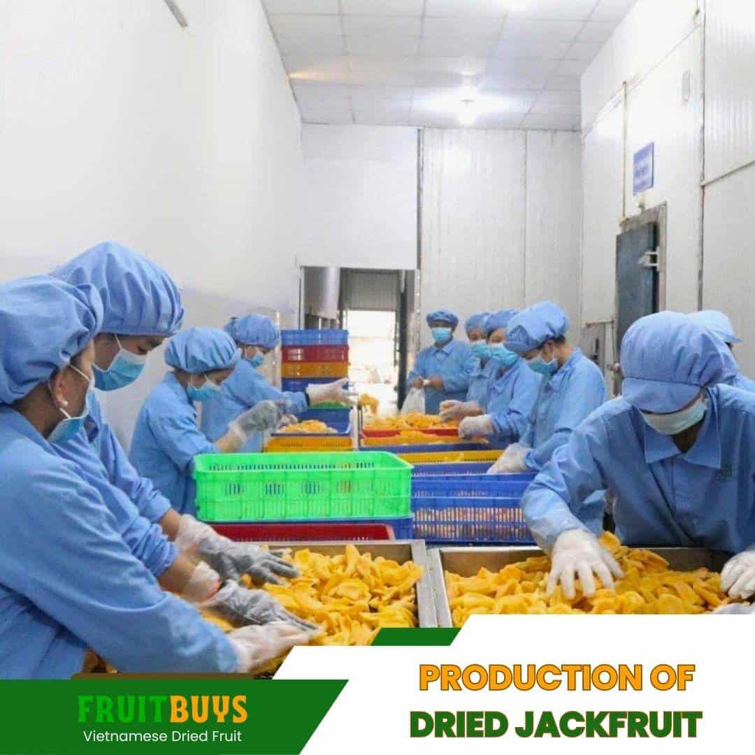 FruitBuys Vietnam Production Of Dried Jackfruit 231011