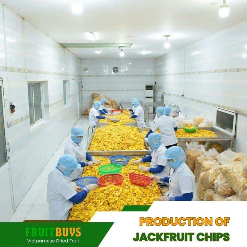 FruitBuys Vietnam Production Of Jackfruit Chips (2) 231011