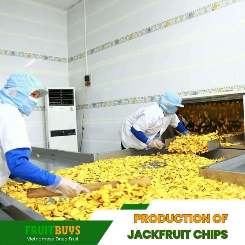 FruitBuys Vietnam Production Of Jackfruit Chips 23105