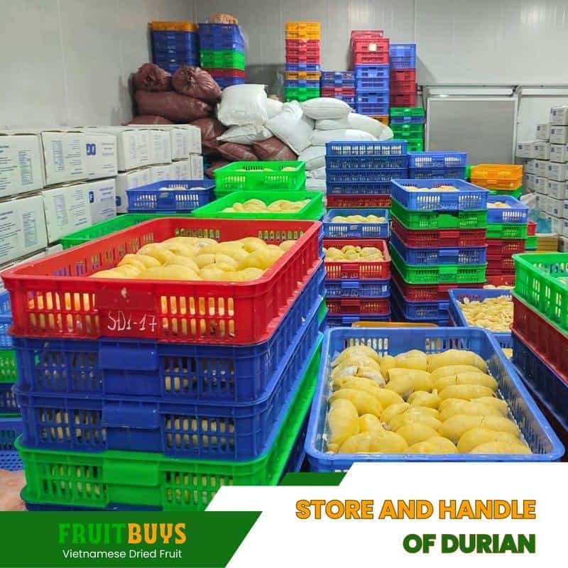 FruitBuys Vietnam Store And Handle Durian 23102