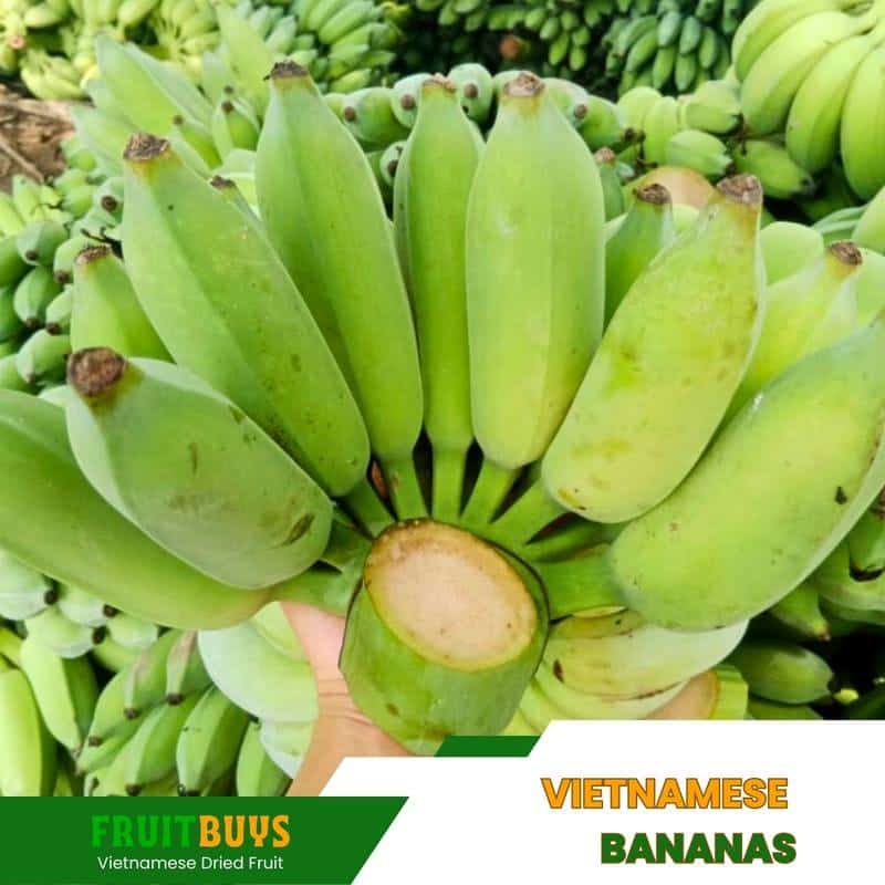 FruitBuys Vietnam Vietnamese Bananas 231021