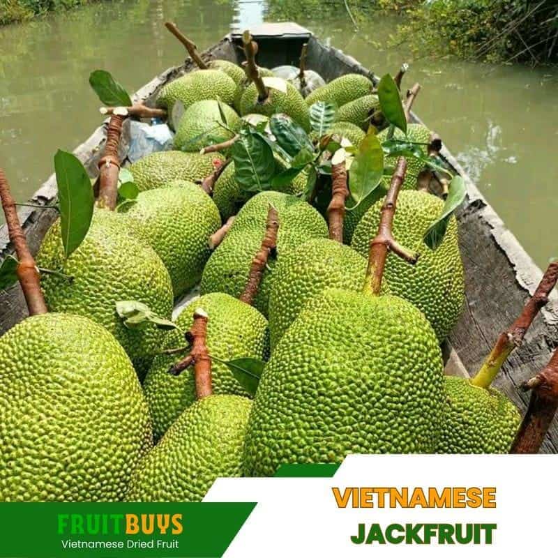 FruitBuys Vietnam Vietnamese Jackfruit (2) 23105